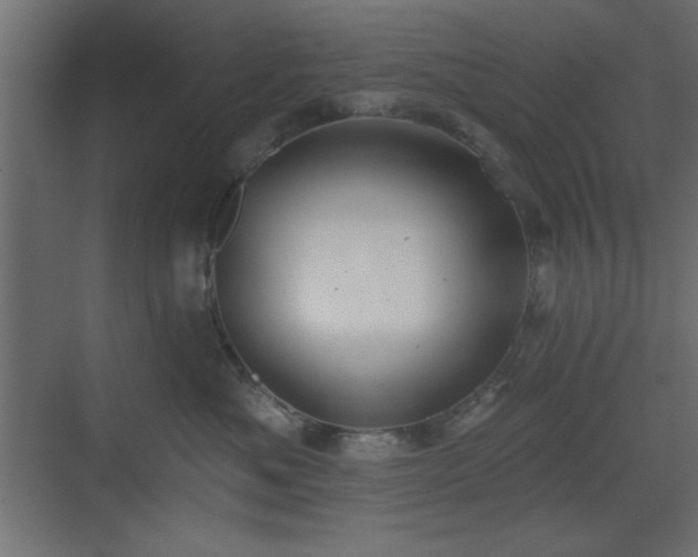 X0000073480525200607311204