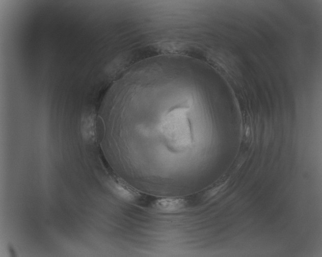 X0000073480526200607311204