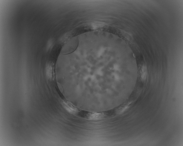 X0000073480527200607311204