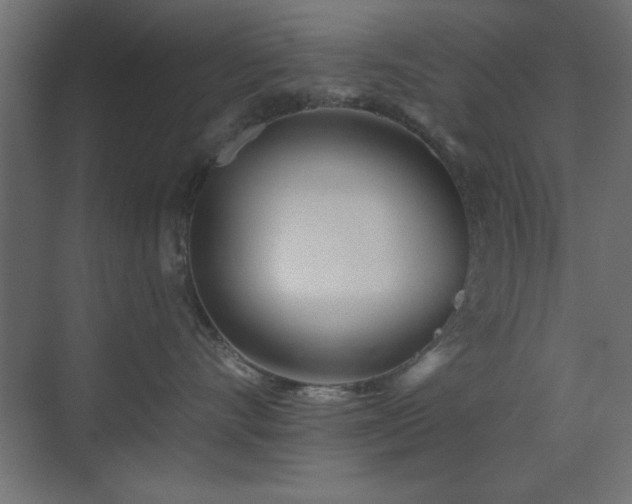 X0000073480528200607311204