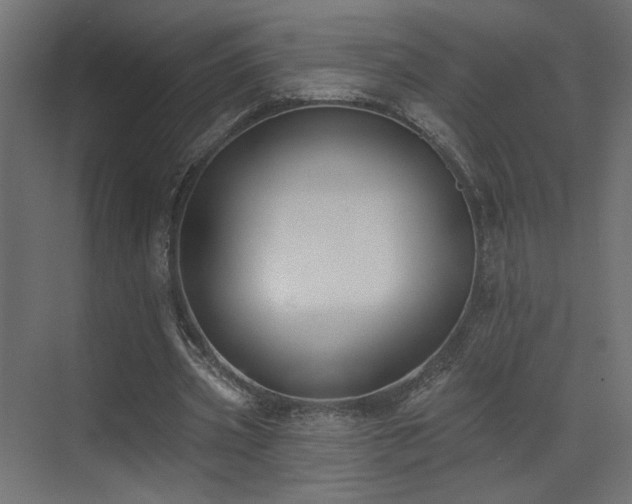 X0000073480533200607311203