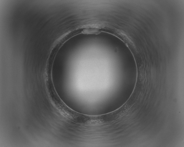 X0000073480536200607311203