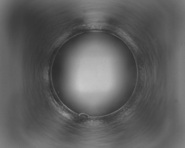 X0000073480537200607311203