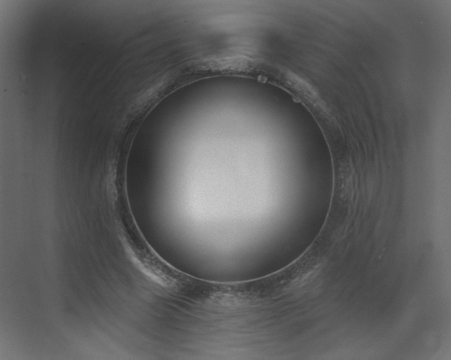 X0000073480538200607311203