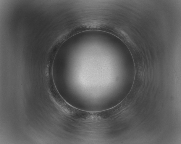 X0000073480543200607311203