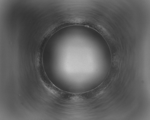 X0000073480544200607311203