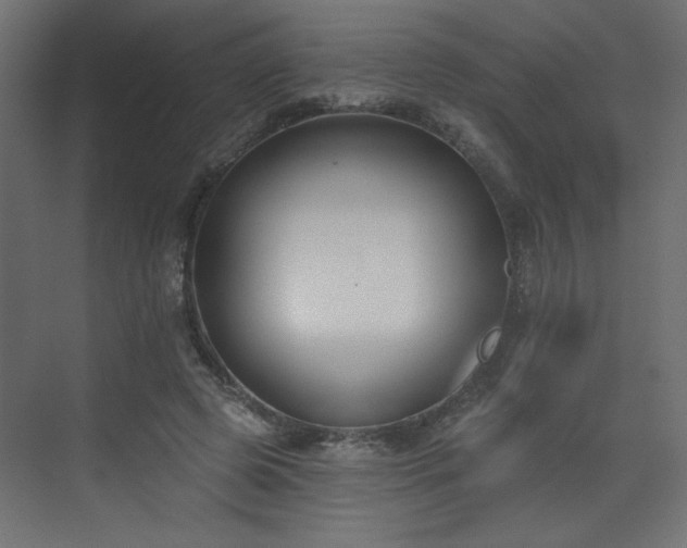 X0000073480545200607311203