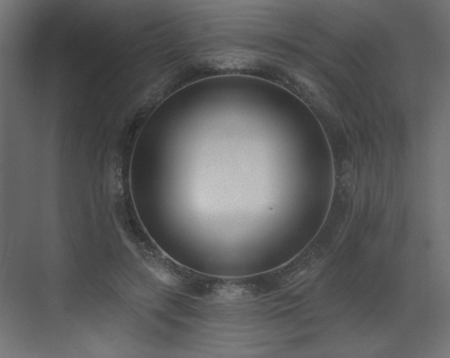 X0000073480547200607311203