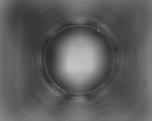 X0000073480548200607311203