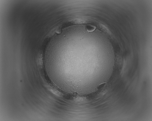 X0000073480549200607311203