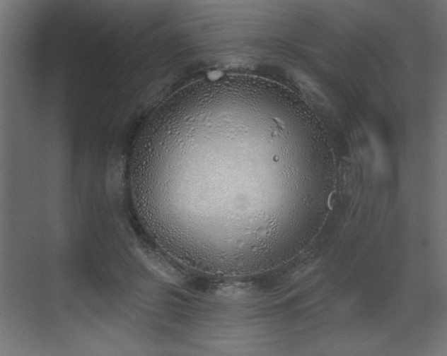 X0000073480550200607311203