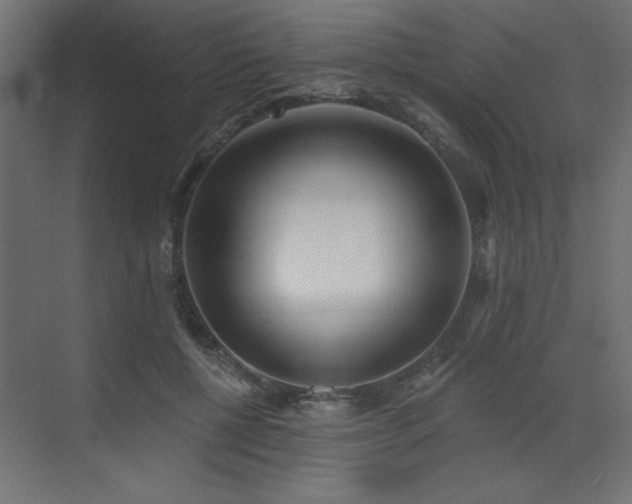 X0000073480552200607311203