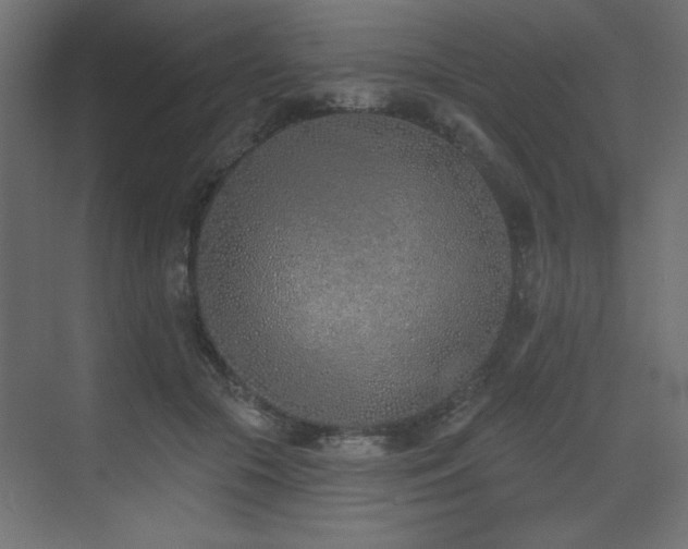 X0000073480553200607311203