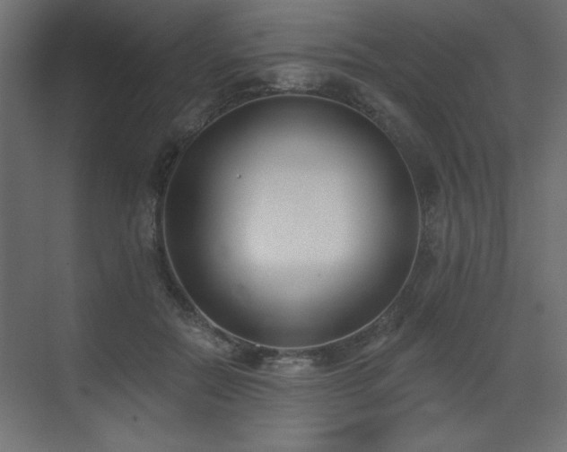 X0000073480554200607311203