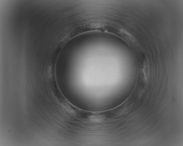 X0000073480556200607311203