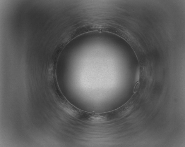 X0000073480557200607311203