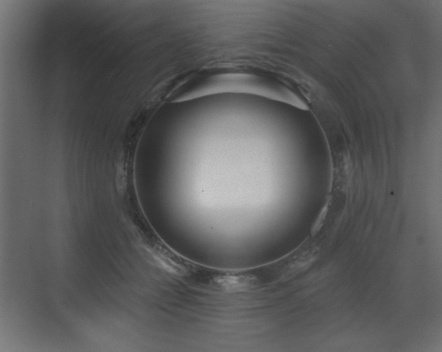 X0000073480558200607311203