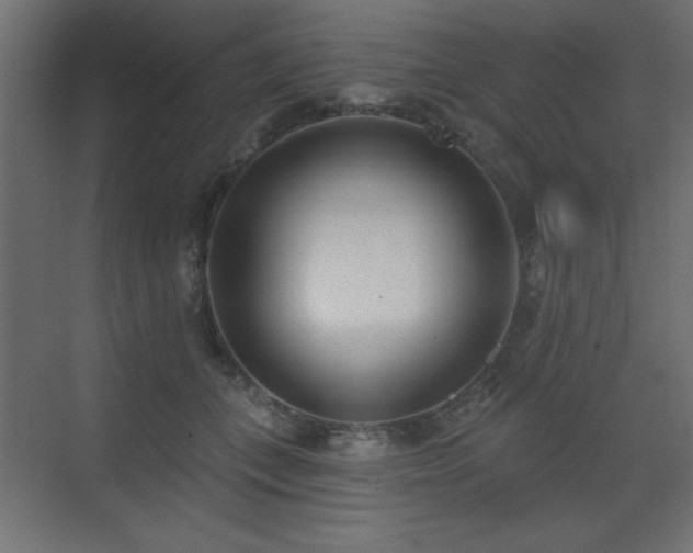 X0000073480559200607311203