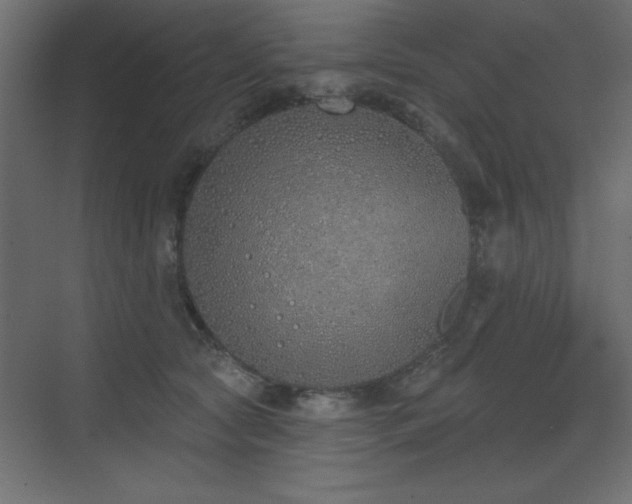 X0000073480561200607311203