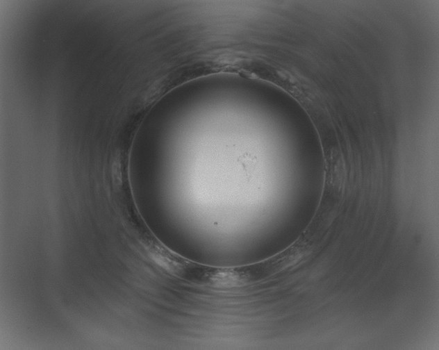 X0000073480562200607311203