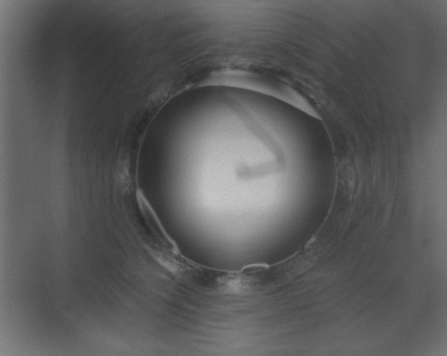 X0000073480564200607311203