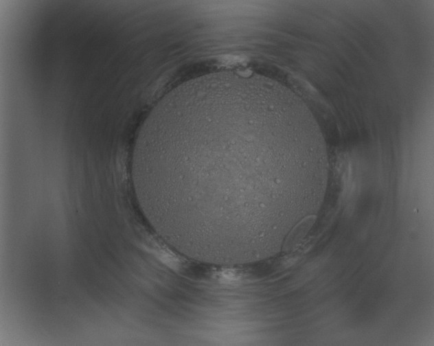 X0000073480565200607311203