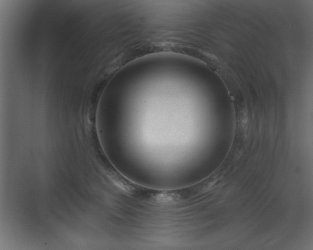 X0000073480566200607311203