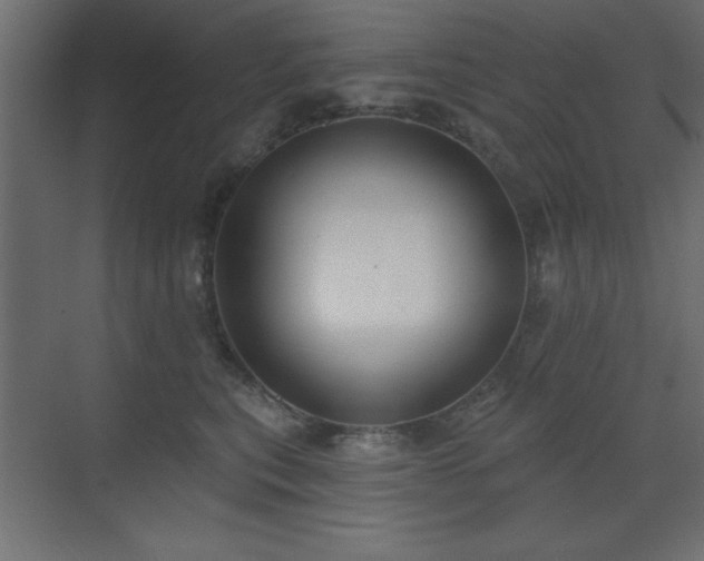 X0000073480567200607311203