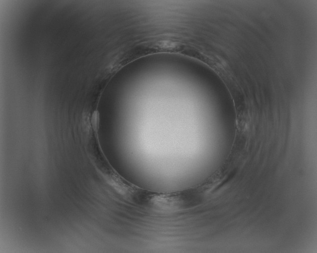 X0000073480568200607311203