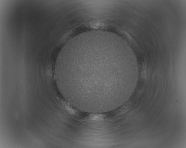 X0000073480569200607311203