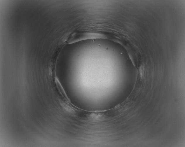 X0000073480570200607311203