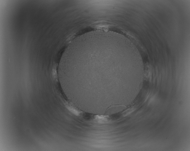 X0000073480573200607311203