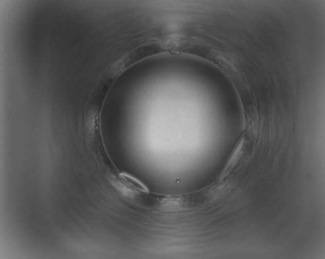 X0000073480574200607311203