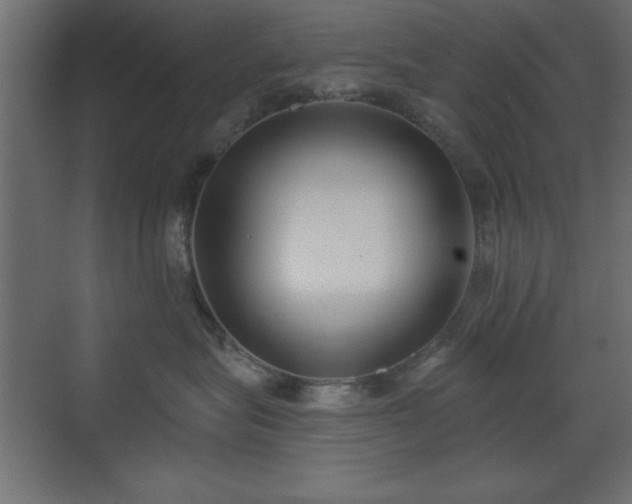 X0000073480575200607311203