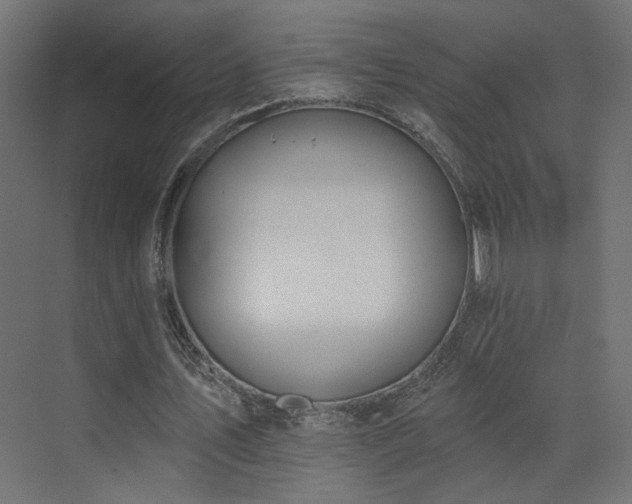 X0000073480579200607311203