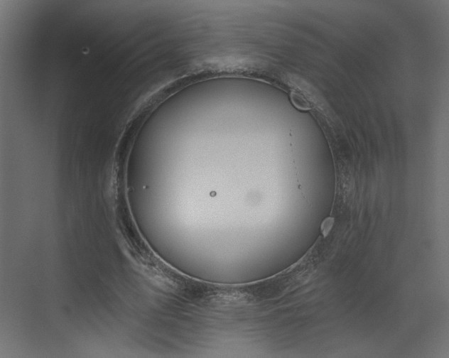 X0000073480583200607311203