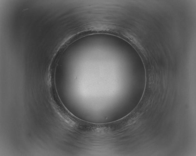 X0000073480584200607311203