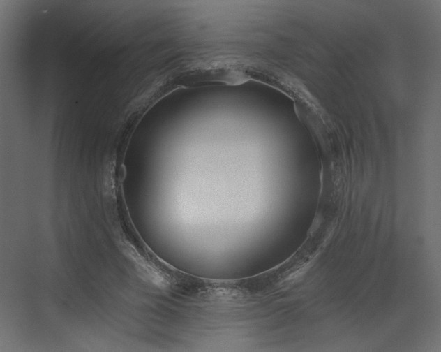 X0000073480585200607311203