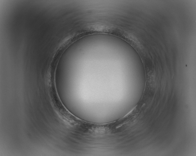 X0000073480587200607311203