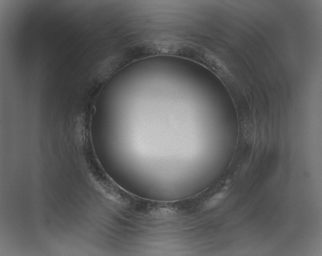 X0000073480594200607311202