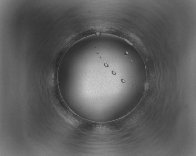 X0000073480596200607311202