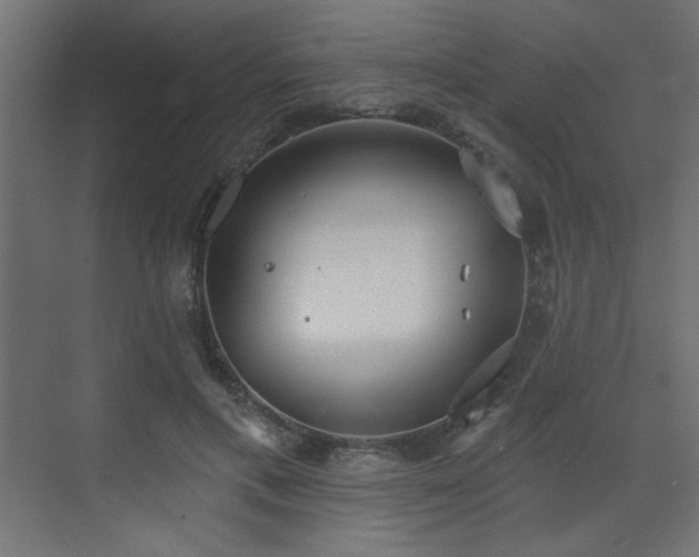 X0000073480597200607311202