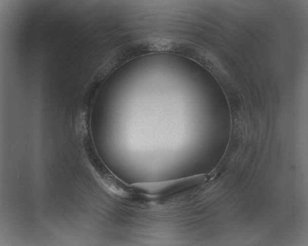 X0000073480598200607311202