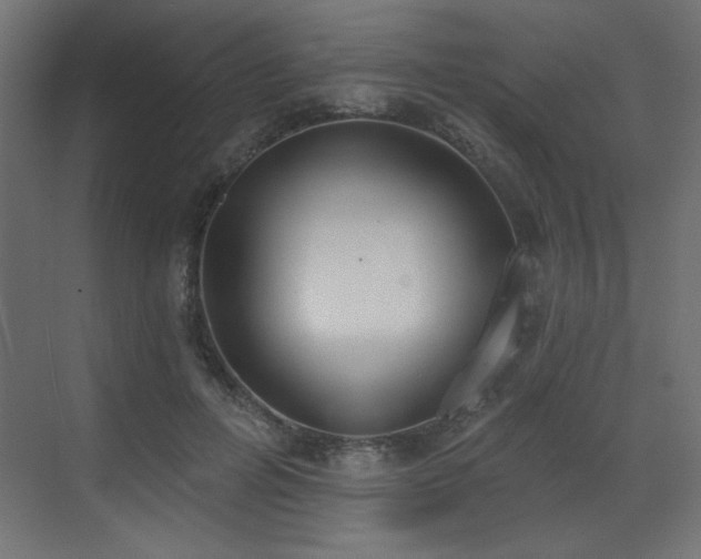 X0000073480600200607311202