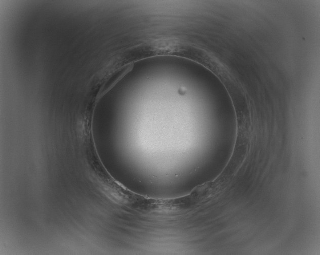 X0000073480601200607311202