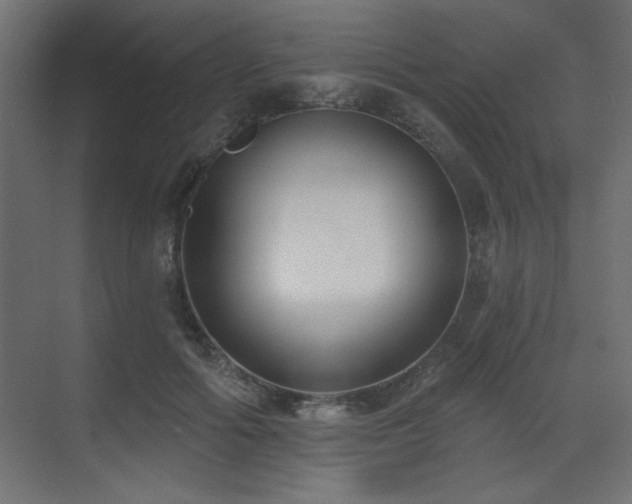 X0000073480602200607311202