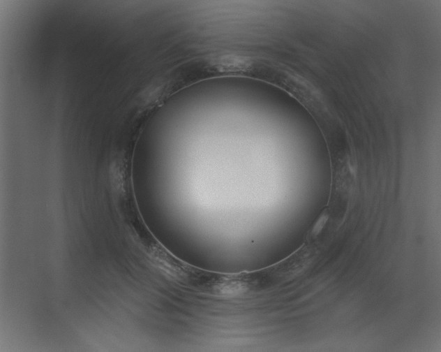 X0000073480604200607311202