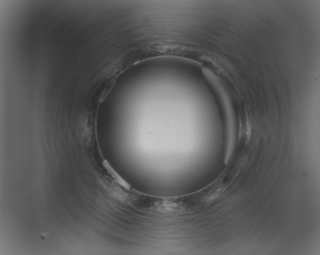 X0000073480607200607311202