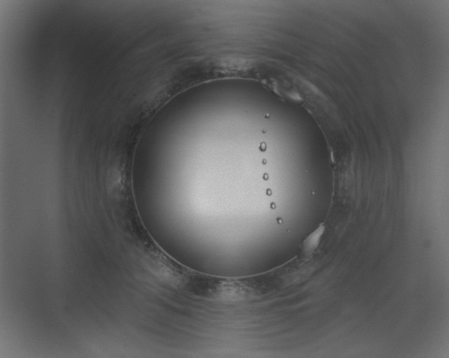 X0000073480608200607311202