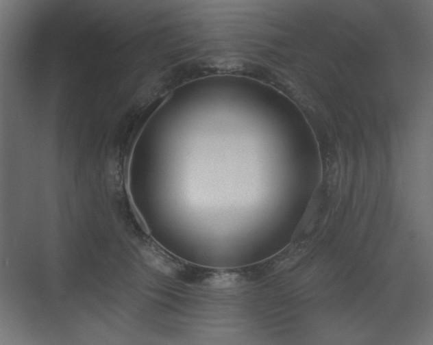 X0000073480609200607311202